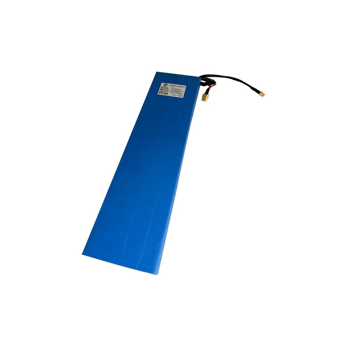 Batterie 48V 16Ah Z8 Z9 Batterie 48V 16Ah Z8 Z9