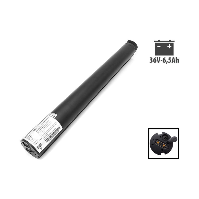 Batterie 36v 6.5Ah Cecotec Bongo Serie A Batterie 36v 6.5Ah Cecotec Bongo Serie A