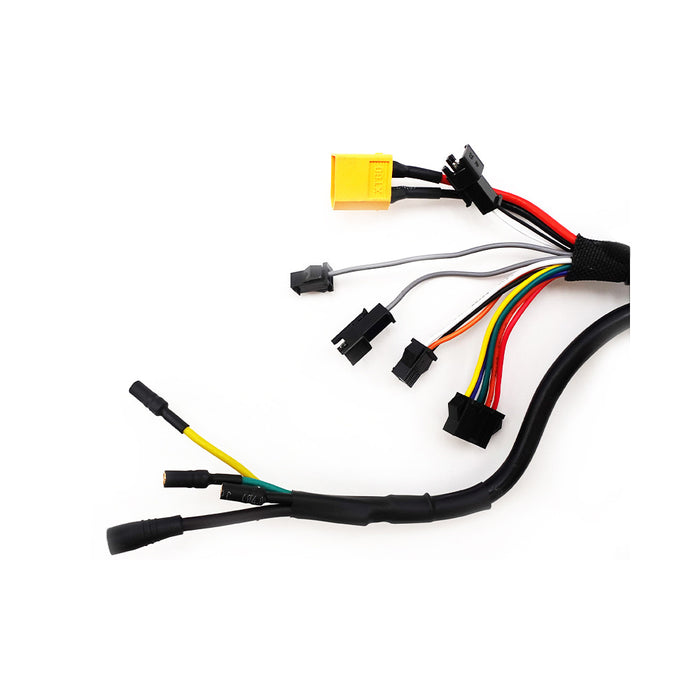 Controleur 36V 25A Dualtron Togo