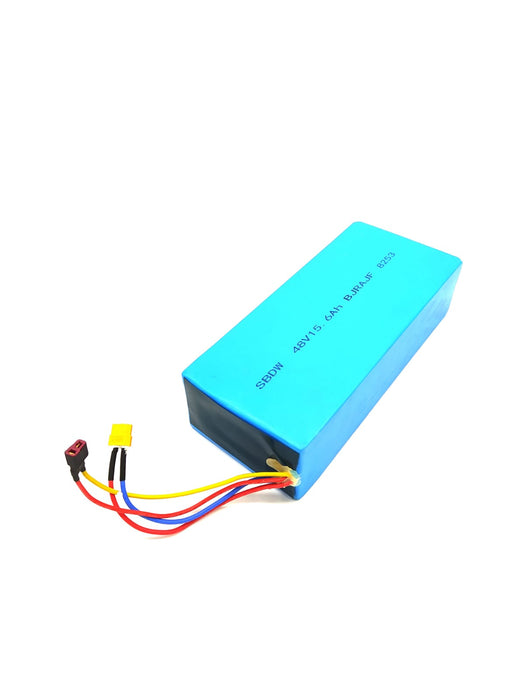 BATTERIE 48V 15 | 6AH RECONDITIONNEE | FUTECHER GUN - SteedyTrott.com