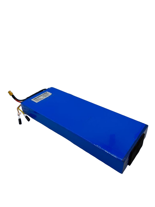 BATTERIE 52V13Ah RECONDITIONNEE | DUALTRON MINI - SteedyTrott.com