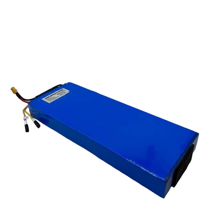BATTERIE 52V13Ah RECONDITIONNEE | DUALTRON MINI - SteedyTrott.com