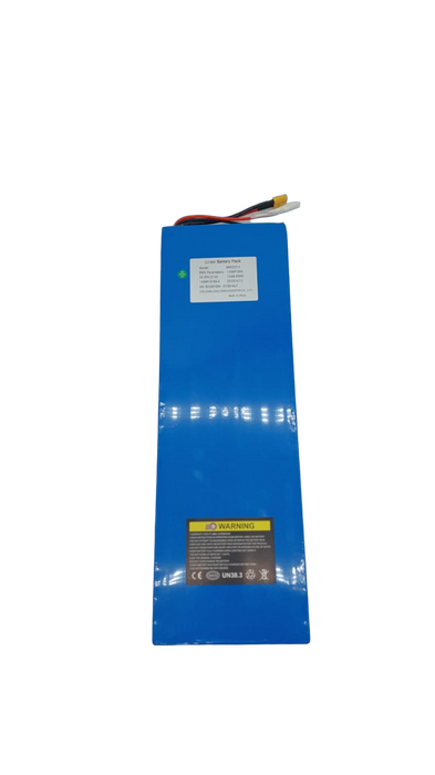 BATTERIE 52V21AH RECONDITIONNEE | DUALTRON MINI - SteedyTrott.com