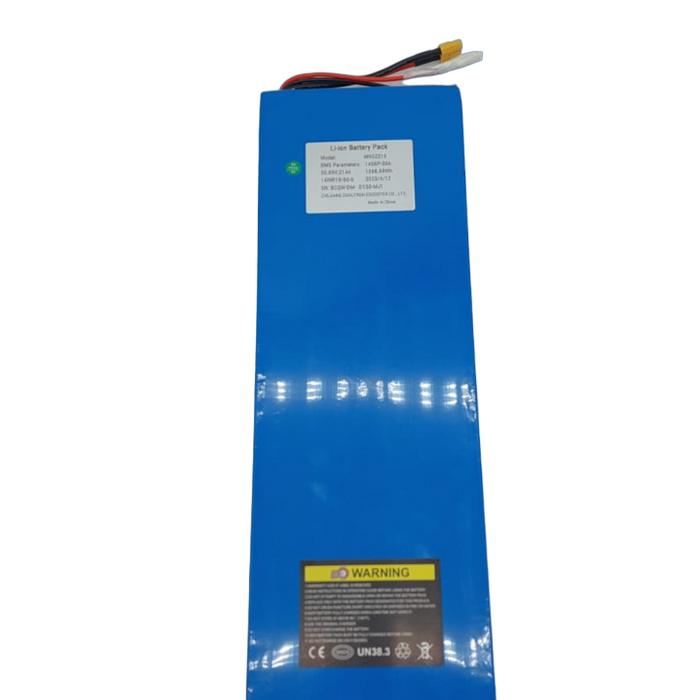 BATTERIE 52V21AH RECONDITIONNEE | DUALTRON MINI - SteedyTrott.com