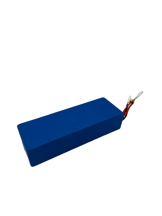 BATTERIE  52V25AH RECONDITIONNEE | DUALTRON POP DOUBLE MOTEUR - SteedyTrott.com