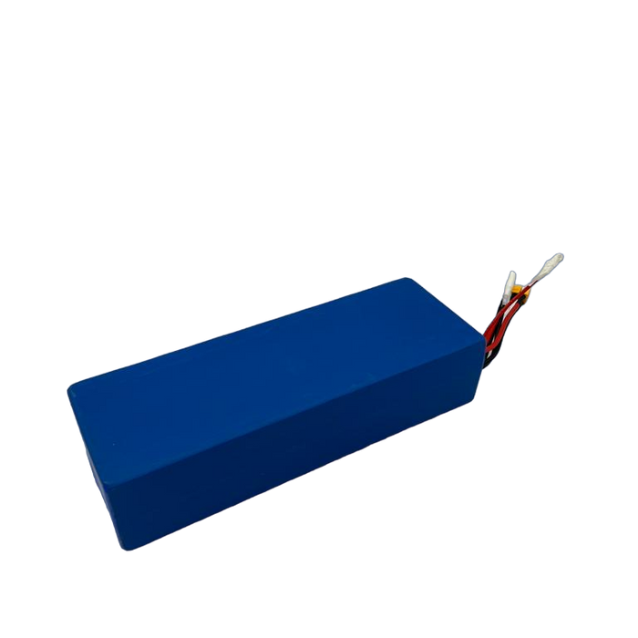 BATTERIE  52V25AH RECONDITIONNEE | DUALTRON POP DOUBLE MOTEUR - SteedyTrott.com