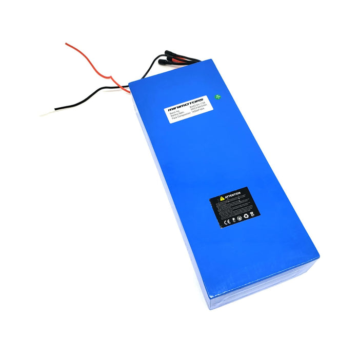 BATTERIE 60V24AH RECONDITIONNEE | DUALTRON VICTOR - SteedyTrott.com
