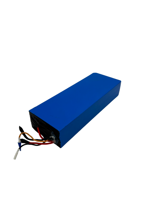 BATTERIE 60V28AH RECONDITIONNEE | DUALTRON VICTOR LUXURY PLUS - SteedyTrott.com