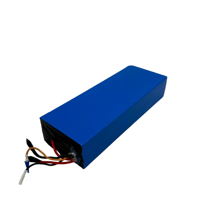 BATTERIE 60V28AH RECONDITIONNEE | DUALTRON VICTOR LUXURY PLUS - SteedyTrott.com