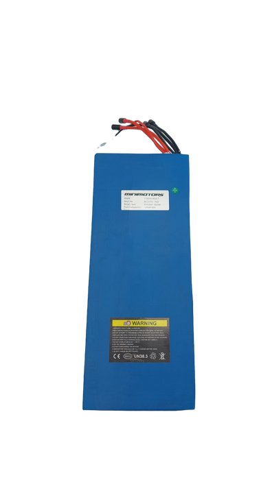 BATTERIE 60V30AH RECONDITIONNEE | DUALTRON VICTOR - SteedyTrott.com