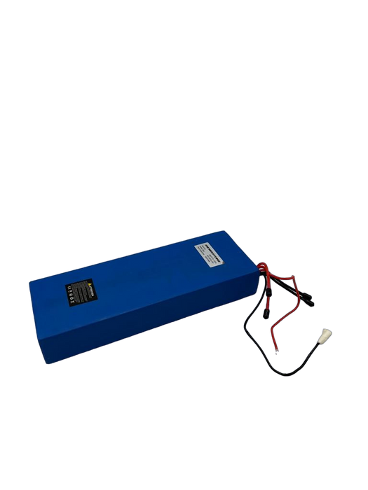 BATTERIE LG 60V 22 | 4Ah | DUALTRON EAGLE PRO - SteedyTrott.com