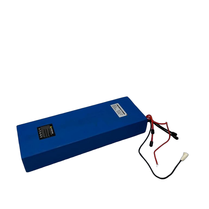 BATTERIE LG 60V 22 | 4Ah | DUALTRON EAGLE PRO - SteedyTrott.com