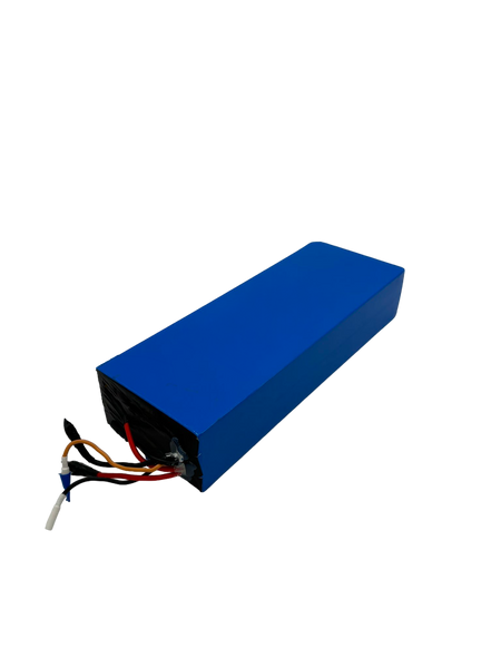 DUALTRON VICTOR LUXURY PLUS | BATTERIE 60V28AH RECONDITIONNEE - SteedyTrott.com