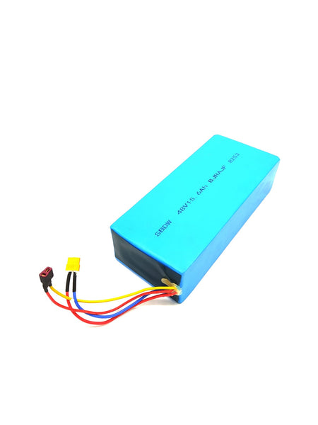 FUTECHER GUN | BATTERIE 48V15,6AH - SteedyTrott.com