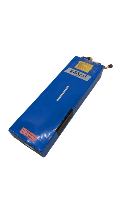 HERO S10 Batterie 52v23AH RECONDITIONNEE - SteedyTrott.com