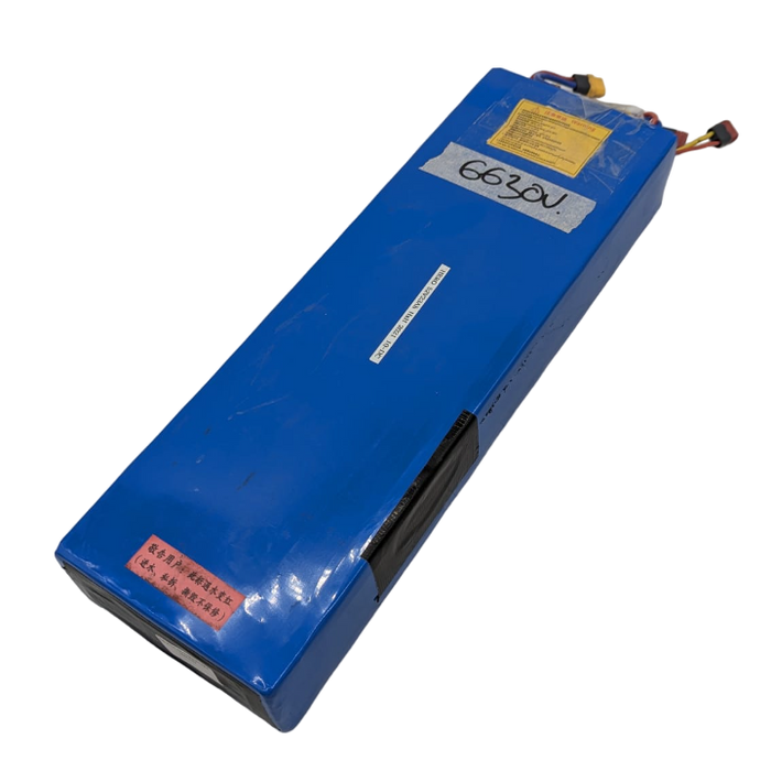 HERO S10 Batterie 52v23AH RECONDITIONNEE - SteedyTrott.com