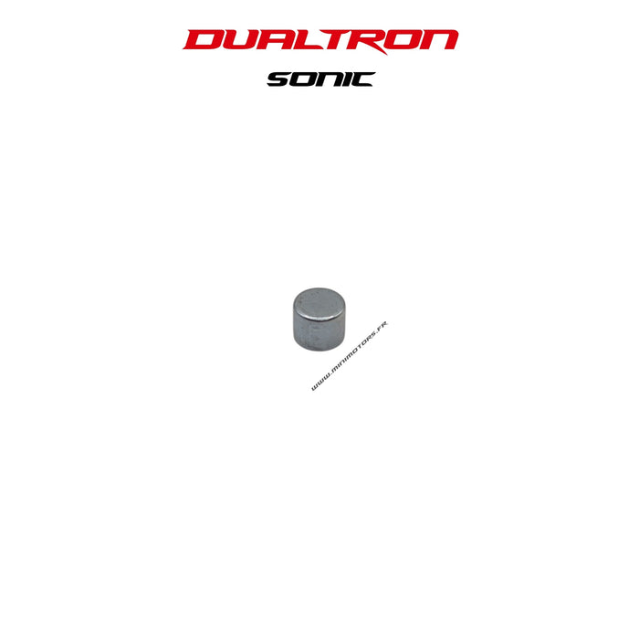 AIMANT DE FREIN ÉLECTRIQUE | DUALTRON SONIC