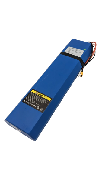 BATTERIE 60V12Ah RECONDITIONNEE | DUALTRON TOGO LTD