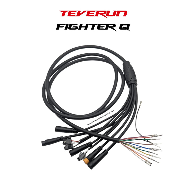 CABLE PRINCIPAL | TEVERUN FIGHTER MINI Q