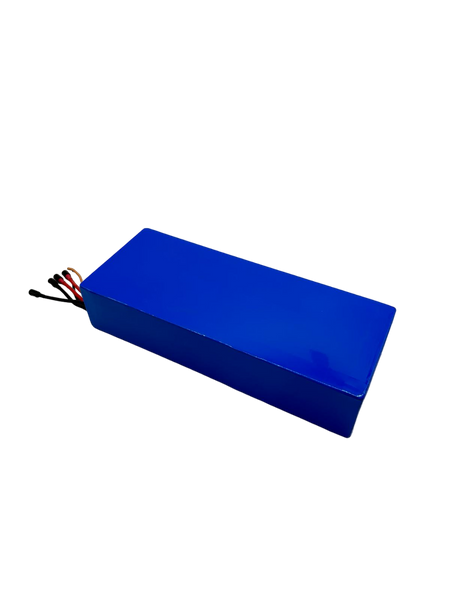 BATTERIE 60V24AH | DUALTRON VICTOR & LUXURY & SPIDER 2 & FOREVER LTD