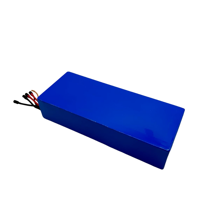 BATTERIE 60V24AH | DUALTRON VICTOR & LUXURY & SPIDER 2 & FOREVER LTD