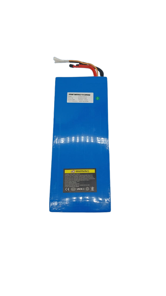 BATTERIE 60V24AH | BLADE X