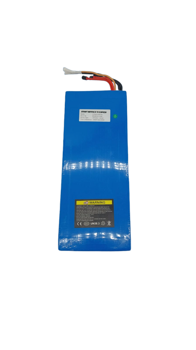 BATTERIE 60V24AH | BLADE X