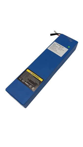 BATTERIE 36V12AH | DUALTRON DOLPHIN