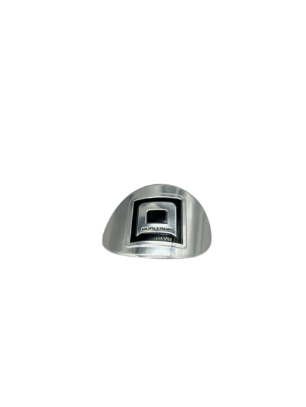 STICKER LOGO OVALE | DUALTRON POP