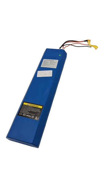 BATTERIE 60V15Ah | DUALTRON TOGO LTD