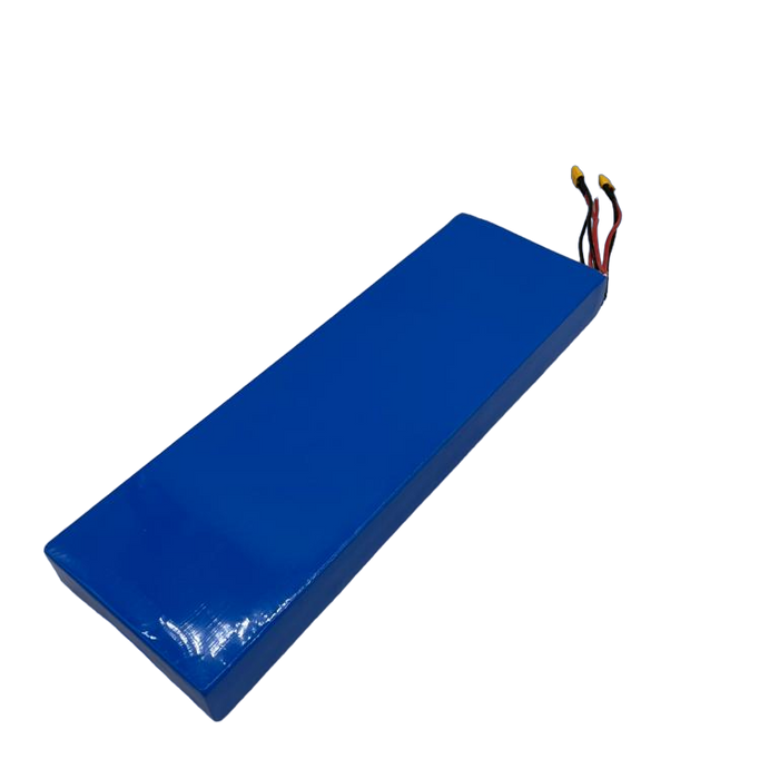 BATTERIE (52V 21AH) | DUALTRON MINI DOUBLE MOTEUR