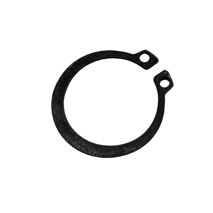 CIRCLIP | DUALTRON DOLPHIN