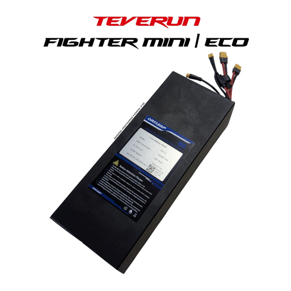 BATTERIE 52V 20AH | TEVERUN MINI ECO 2025