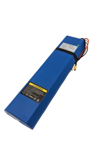 BATTERIE 60V12Ah | DUALTRON TOGO LTD