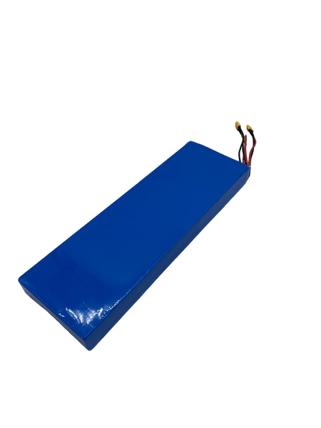 BATTERIE 52V21AH | DUALTRON AMINIA DUAL MOTOR