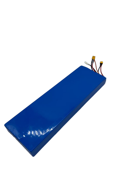 BATTERIE 52V15.6AH | DUALTRON AMINIA DUAL MOTOR