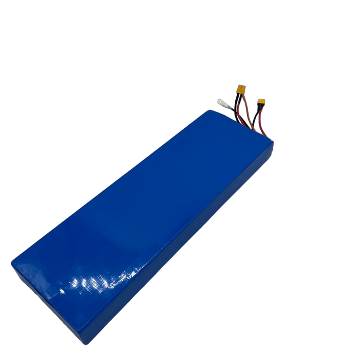 BATTERIE 52V15.6AH | DUALTRON AMINIA DUAL MOTOR