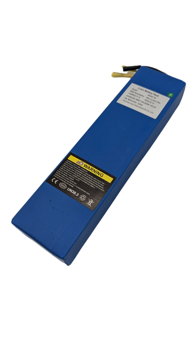 BATTERIE 36V15AH | DUALTRON DOLPHIN