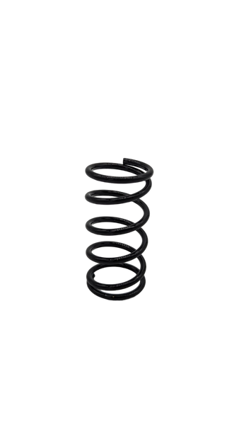 SUSPENSION AVANT | DUALTRON DOLPHIN