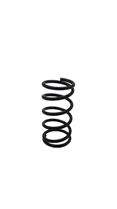 SUSPENSION AVANT | DUALTRON DOLPHIN