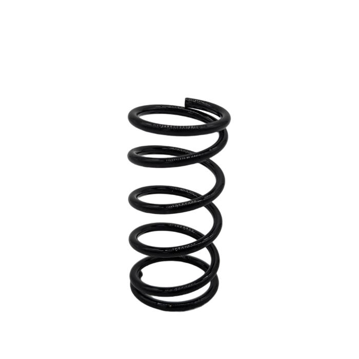 SUSPENSION AVANT | DUALTRON DOLPHIN