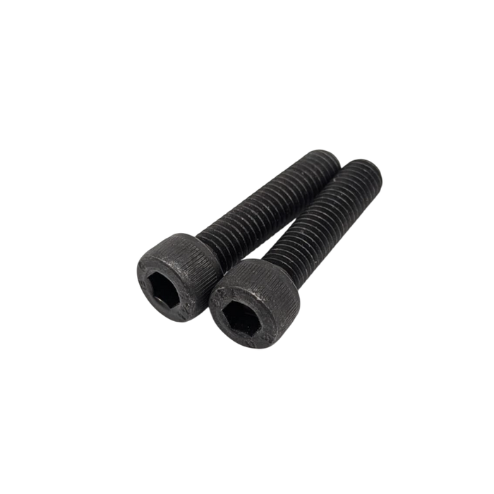 VIS FOURCHE AVANT (paire) | DUALTRON MINI & MINI DOUBLE MOTEUR & TOGO LTD