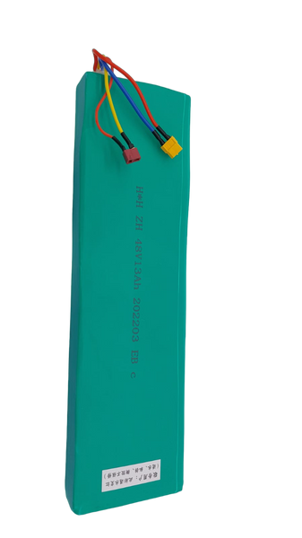 BATTERIE 48V13Ah | SPW MINI 4 PRO