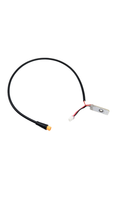 CLIGNOTANT AV DROIT | DUALTRON DOLPHIN