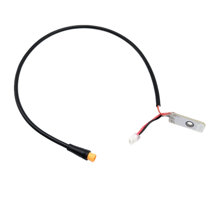 CLIGNOTANT AV DROIT | DUALTRON DOLPHIN