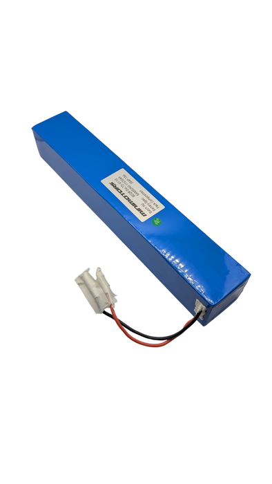 BATTERIE LED 12V | DUALTRON X2