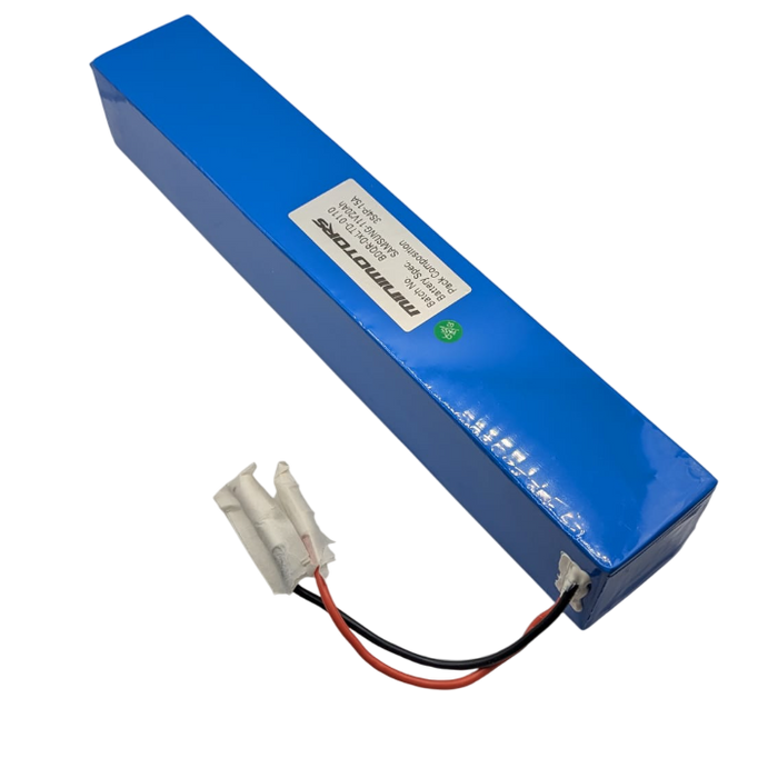 BATTERIE LED 12V | DUALTRON X2