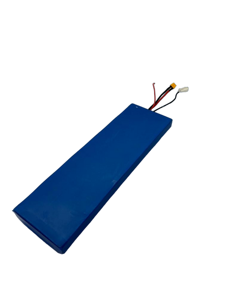 BATTERIE 48V15AH | DUALTRON TOGO PLUS