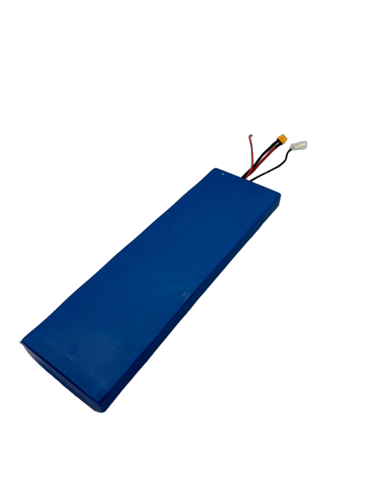 BATTERIE 48V15AH | DUALTRON TOGO PLUS