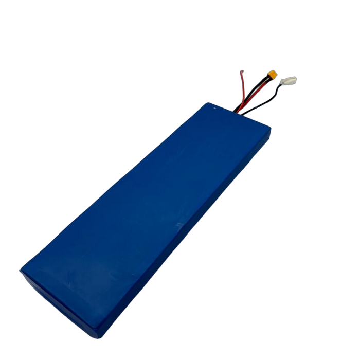 BATTERIE 48V15AH | DUALTRON TOGO PLUS